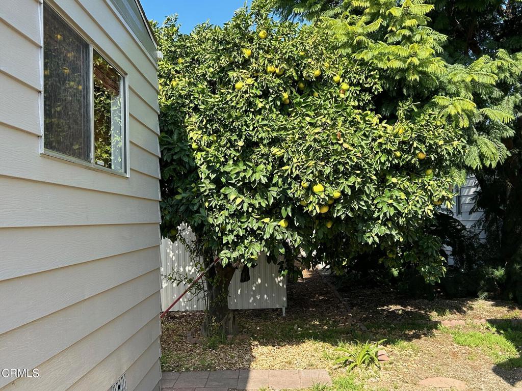 Buenaventura MHP - 0292 - Manufactured In Park