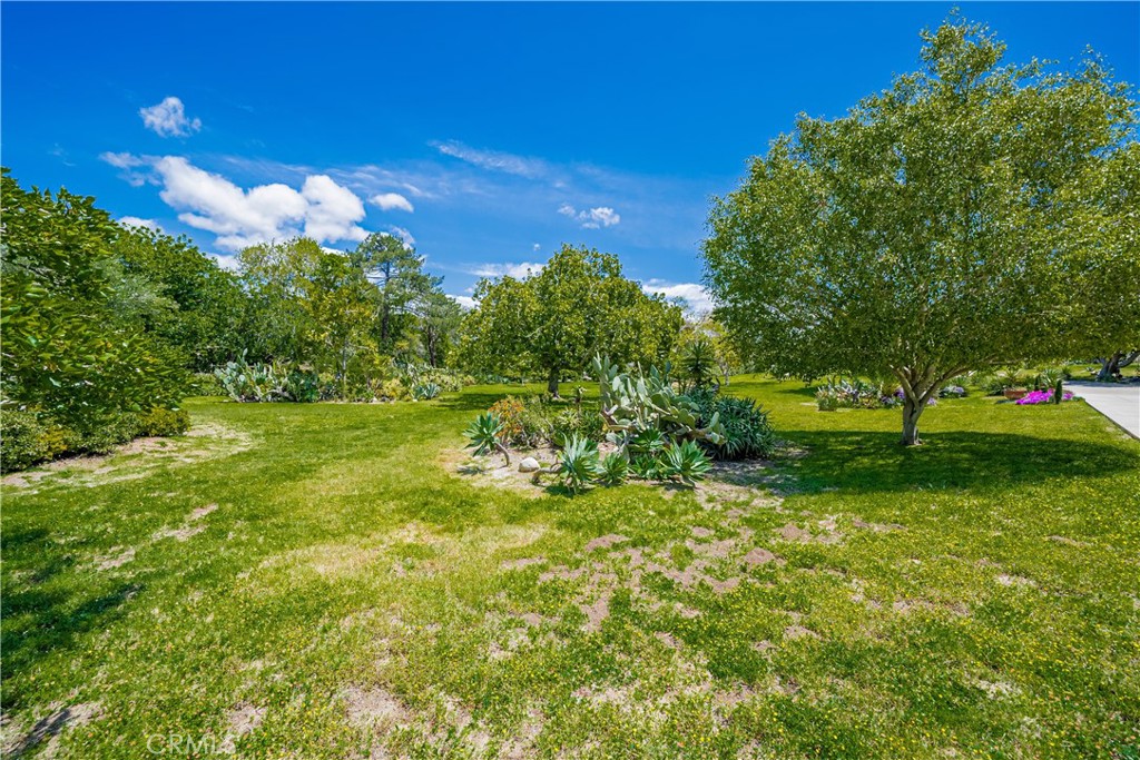 Rancho Santa Fe - Residential