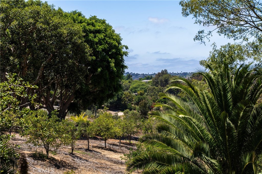 Rancho Santa Fe - Residential
