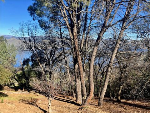 Photo of 3050 Riviera Heights Dr, Kelseyville, CA 95451 (MLS # LC26009297)