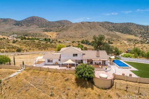 9175 Yucca Hills Agua Dulce CA 91390