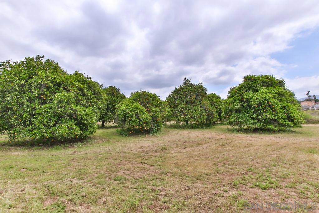 El Cajon - Residential