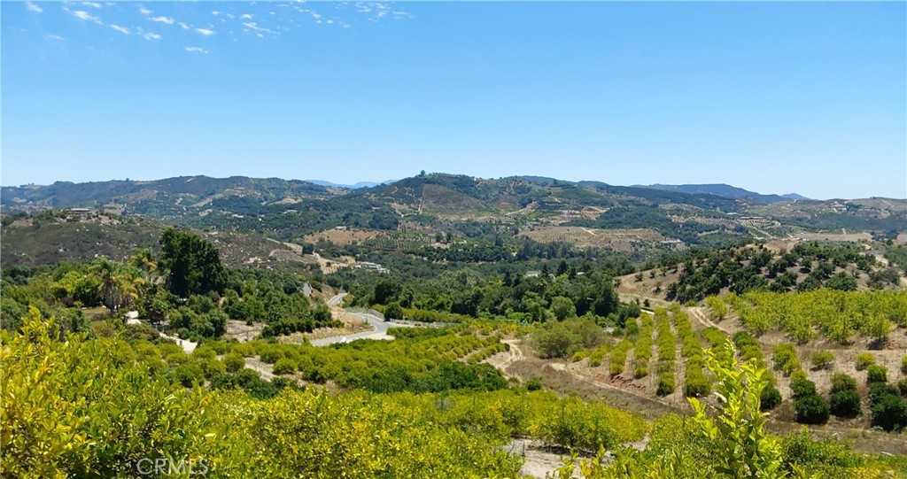 Don't miss this extraordinary opportunity to own a breathtaking 18.2 acres of pristine land in the heart of De Luz. This picturesque parcel currently planted with lemons and professionally managed and organic certified offers the perfect canvas for your future estate home, complete with panoramic views that will take your breath away. Whether you envision a sprawling mansion, a charming retreat, or a family compound, this land is ready for your dreams to take root. Enjoy sweeping vistas from every corner of the property. Imagine waking up to stunning sunrises and winding down to mesmerizing sunsets, all while being enveloped in the natural beauty of the rolling hills. With paved roads on three sides, access to your future estate is as easy as it gets. This location is ideal for those who crave a peaceful retreat without sacrificing accessibility. Enjoy the convenience of seamless travel to nearby amenities while relishing the peace and quiet of rural living. A crucial asset for any property, there is already a 2-inch water meter in place, ensuring an efficient and reliable water supply for your future home. The land features varied topography with rolling hills, offering a unique character that allows for diverse opportunities including continued operation of the existing lemon grove. Other possibilities include a vineyard, avocado grove, or estate homesite – the choices are endless. This is a rare opportunity to secure a piece of land that offers not just space, but a lifestyle. Whether you’re looking to build your dream home, an investment property, or simply a getaway, this 18.2-acre gem in De Luz is waiting for you.