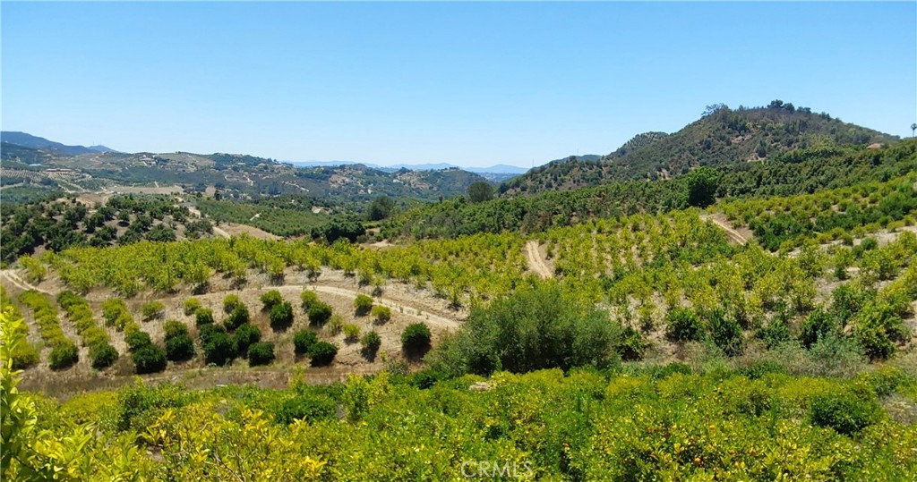 5 De Anza Road