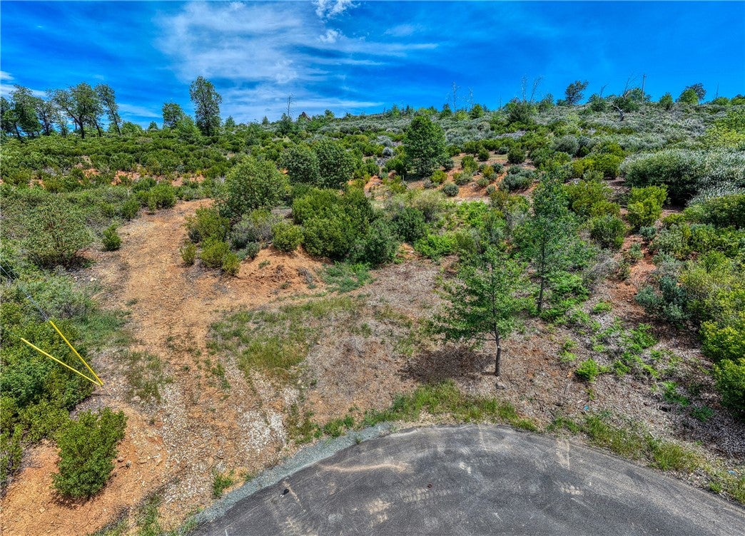 9738 Hoberg Drive E