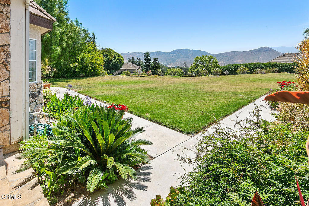 2981 Yucca Drive