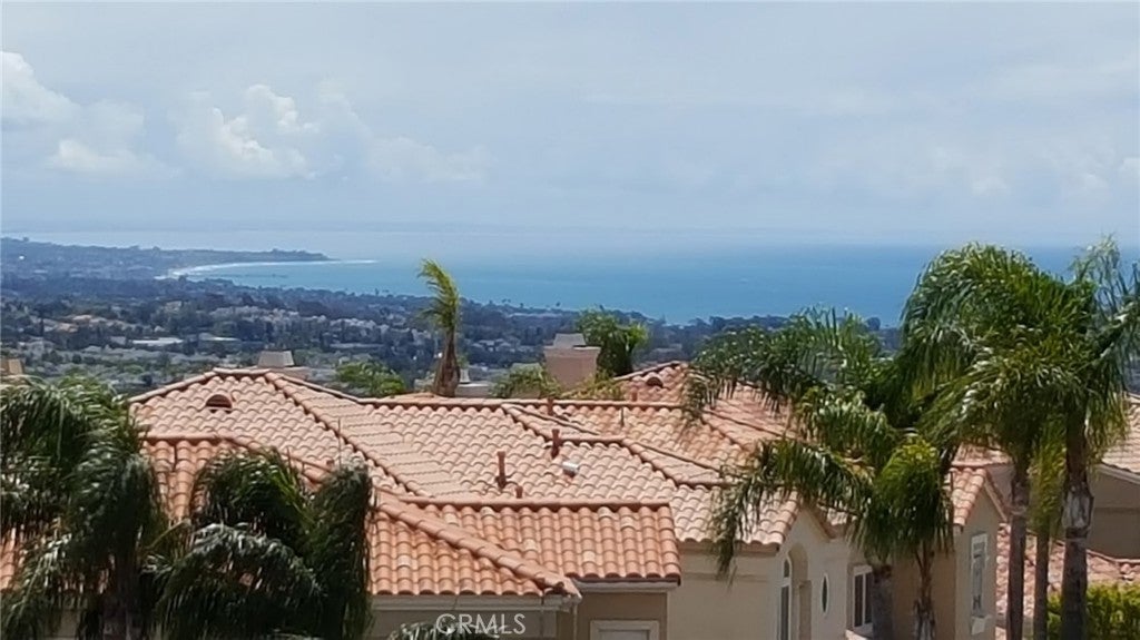 30602 La Vue, Laguna Niguel CA 92677 - Photo 68