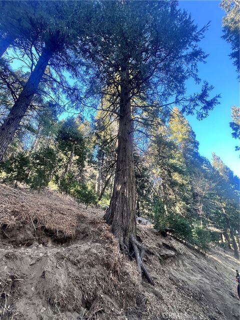 Photo of 0 Reservoir, Cedarpines Park, CA 92322 (MLS # SR26060698)