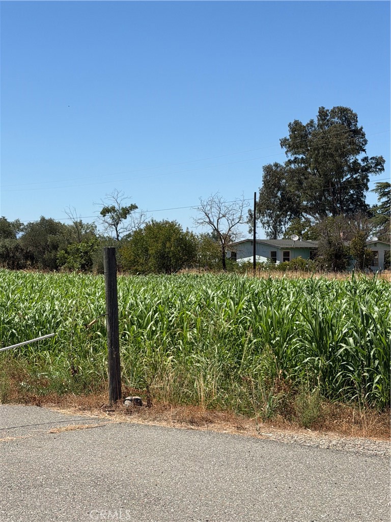 4275 County Road 99w