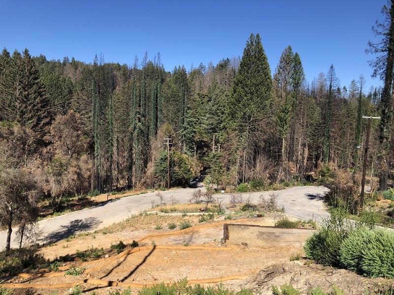 Looking to build your own custom home in the Santa Cruz Mountains with Sunny views? This parcel was part of the CZU fire, previously a 1008 SF home built in 1983 with a view and garden capacity. Property is now cleared and ready for its' next chapter. Existing flat building area with an intact sewer (two neighborhood homes are standing/occupied). Sellers have pre-clearance approval for a 3BR/2BA, 1600 SF home. Temporary power pole installed. Ideally located just 40 min. to Silicon Valley, 25 min. to Santa Cruz, and 1 mile to downtown Boulder Creek schools, shopping, parks and entertainment. Easy access to main highway. On the way to Big Basin State Park.