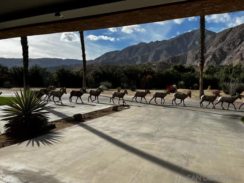 Borrego Springs - Residential