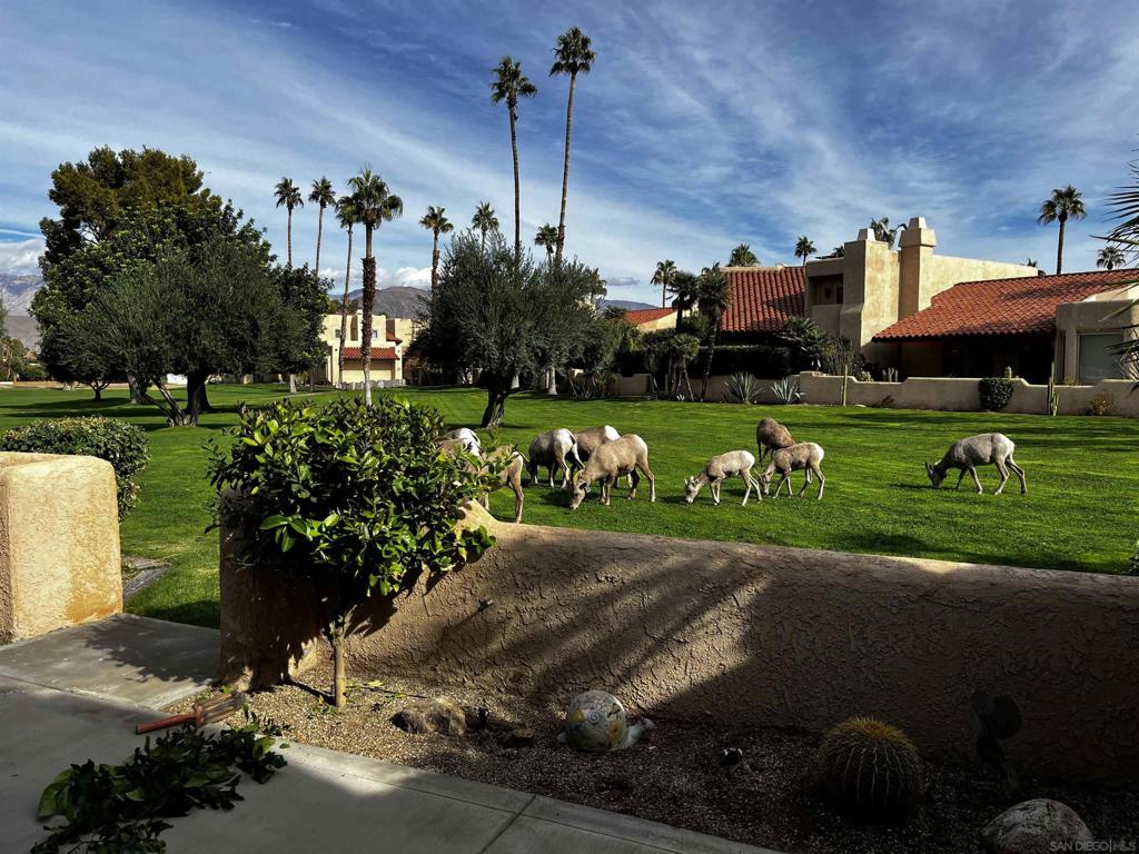 Borrego Springs - Residential