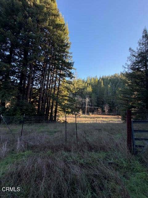 Photo of 7800 Flynn Creek Road, Comptche, CA 95427 (MLS # C1-11450)