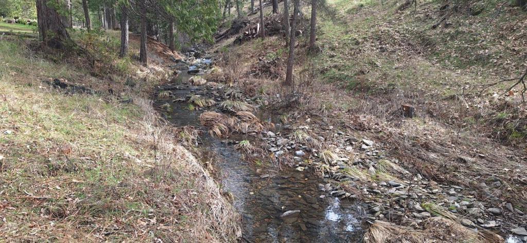 Build your dream home near Yosemite! Almost flat buildable lot in Pine Mountain Lake subdivision. Electrical, public water and sewer hook ups are at the street. Seasonal creek at the back end of the property! Easy to access year around. 26miles from Yosemite National Park entrance Pine Mountain Lake is a small community in the historical gold town of Groveland, CA. Community offers great amenities including private lake with several beach areas, highly rated golf course, club house, tennis and pickle ball courts, seasonal pool, stabled and an airport. About a 2.5-3hr drive from San Francisco or San Jose. Great place to live full time or vacation with your family. Unlimited nature and outdoor opportunities all year around with sierras right in your backyard. Build on site or bring a manufactured home, the choice is yours. There are not too many lots still left that are almost all flat and usable. Come take a look!