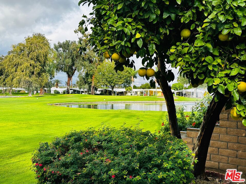 Date Palm Country Cl - Manufactured In Park