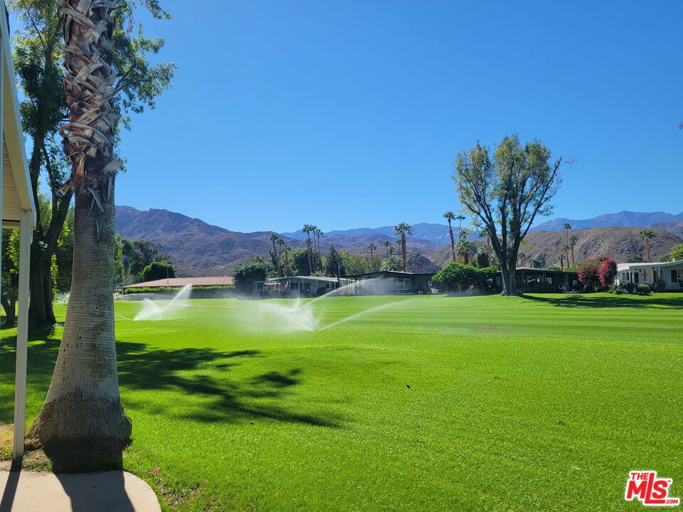 Date Palm Country Cl - Manufactured In Park