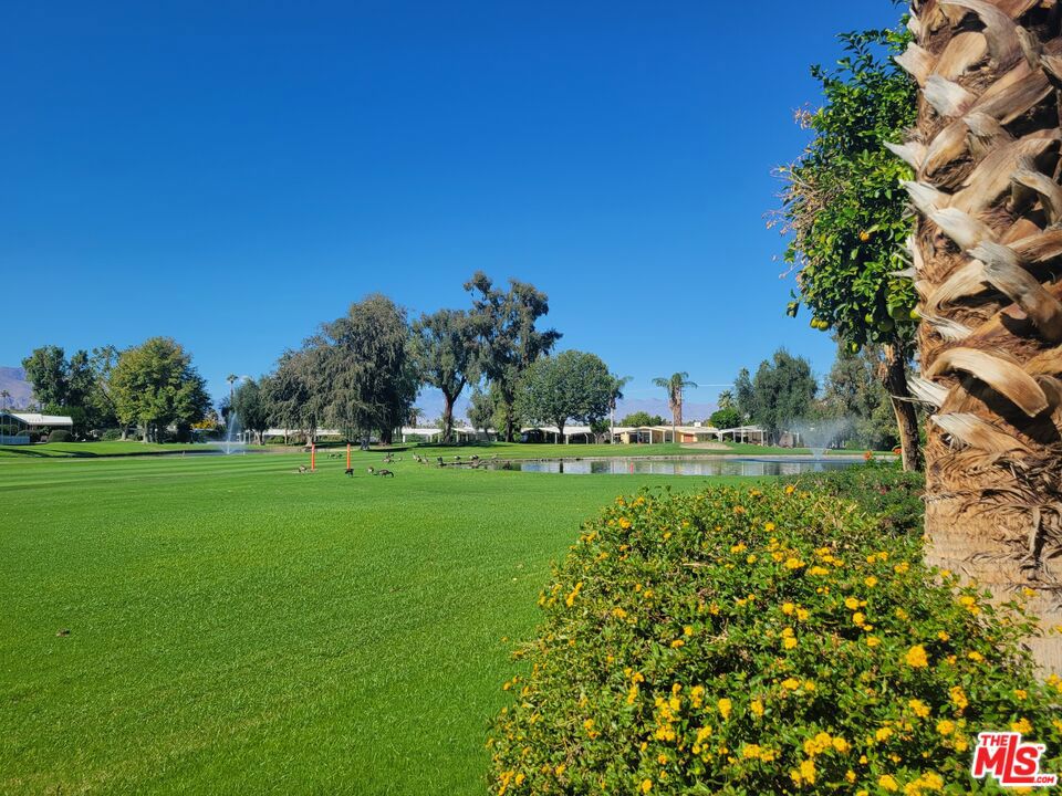 Date Palm Country Cl - Manufactured In Park