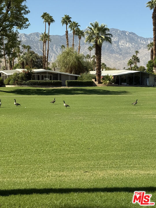 Date Palm Country Cl - Manufactured In Park