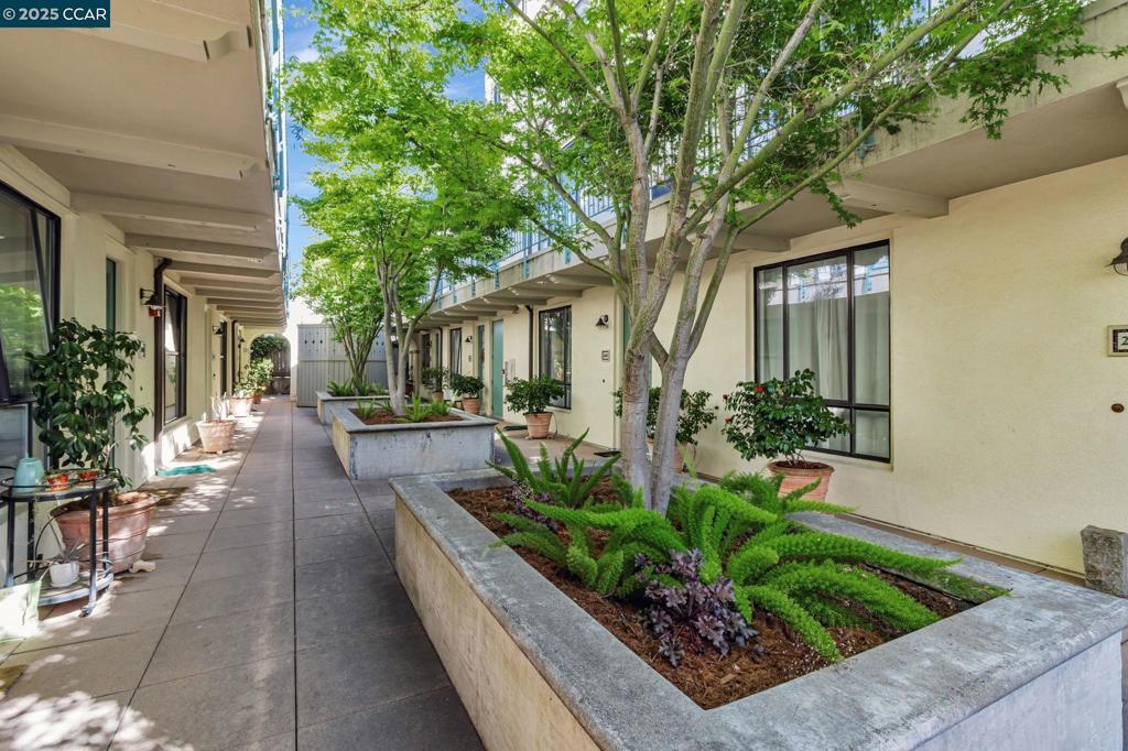 4395 Piedmont Ave P208