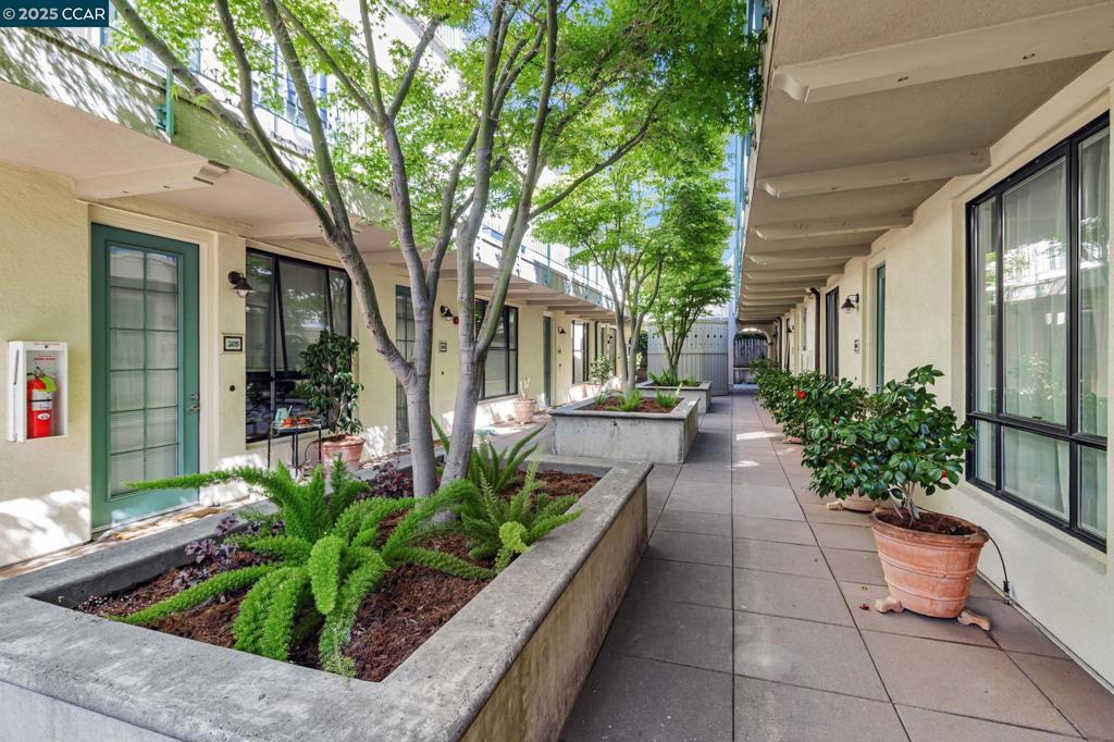 4395 Piedmont Ave P208