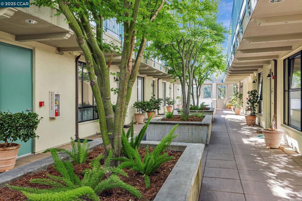 4395 Piedmont Ave P208