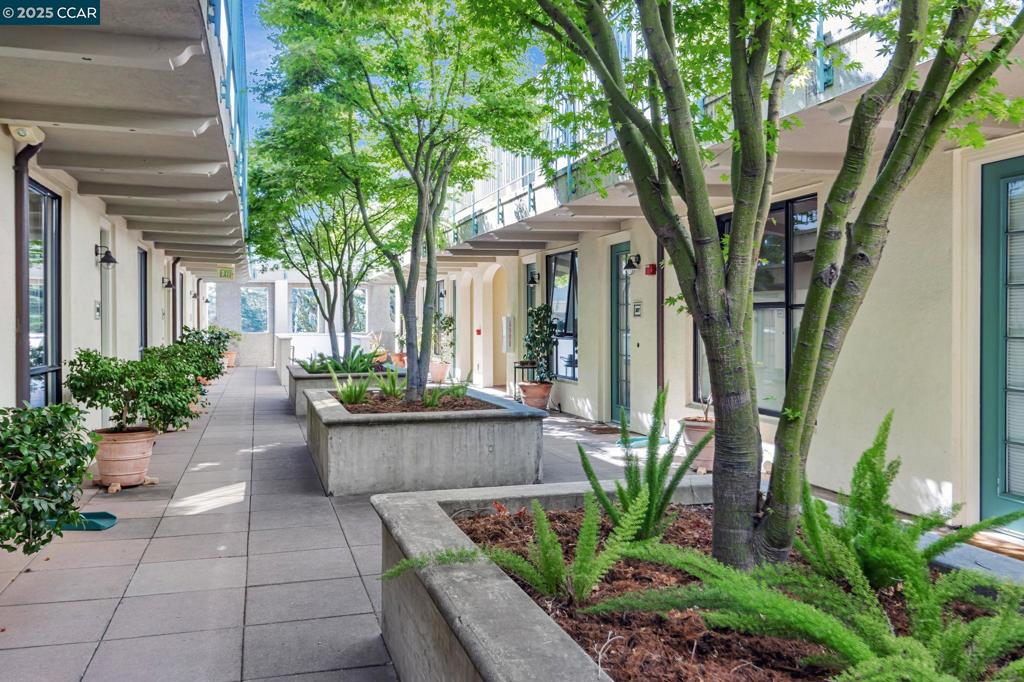 4395 Piedmont Ave P208