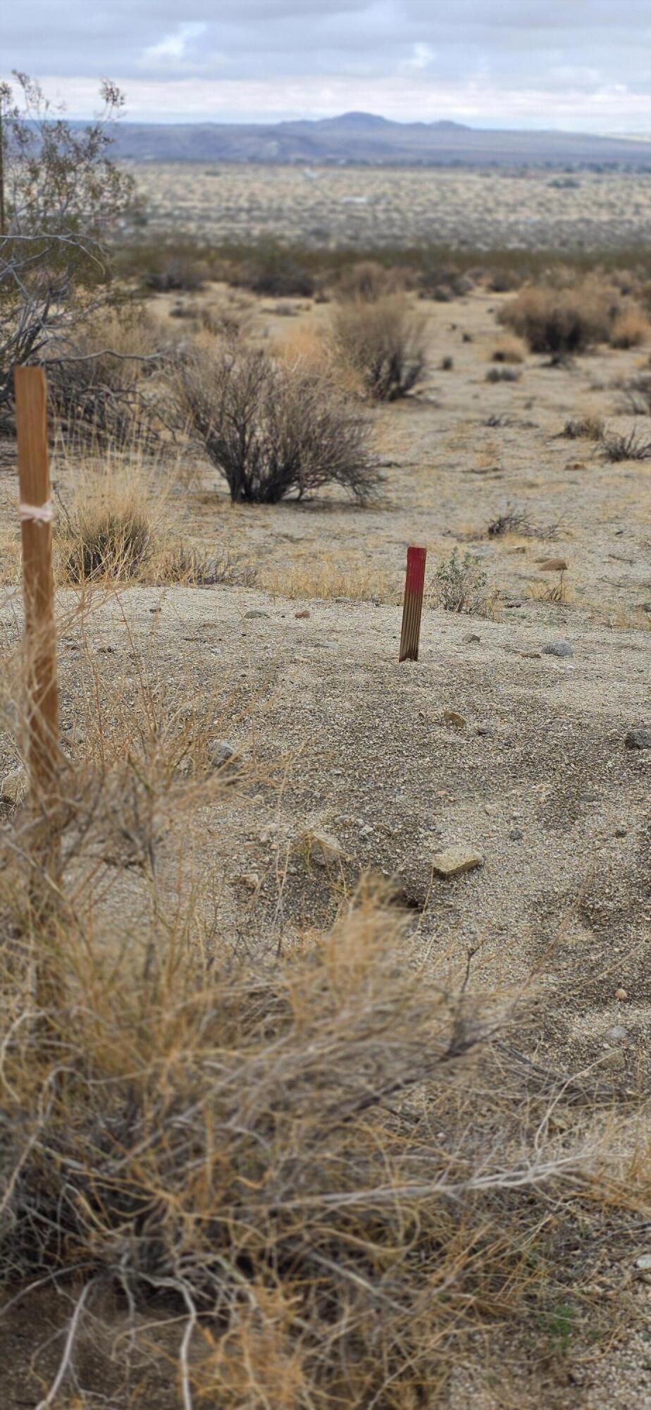 Not Applicable-1 - Land