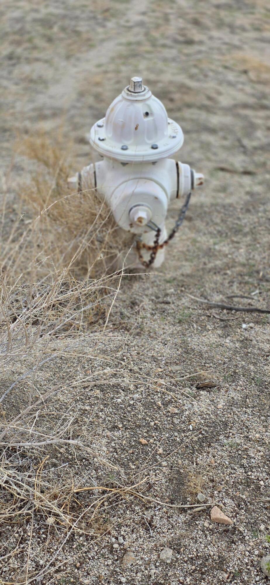 Not Applicable-1 - Land