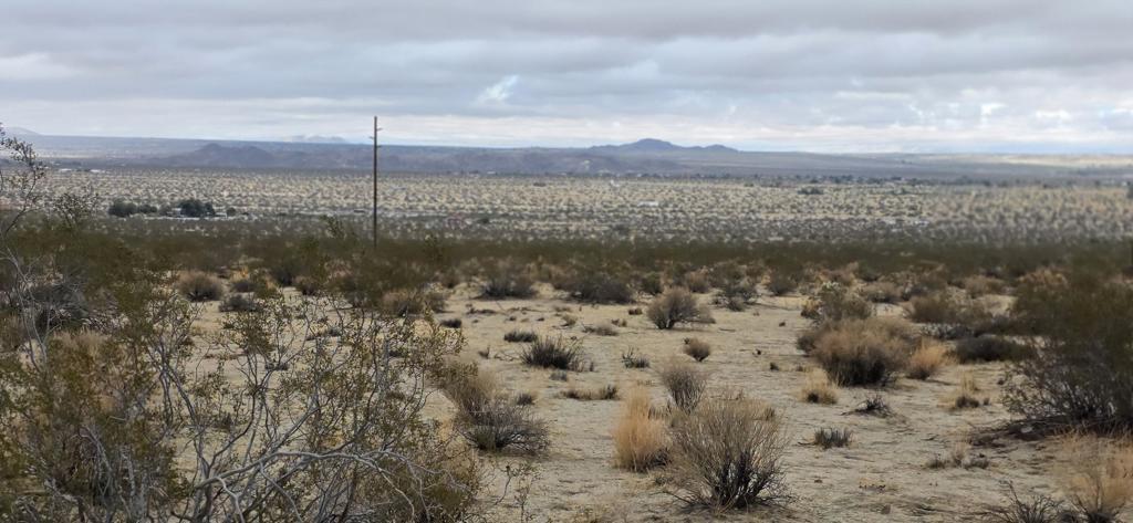 Not Applicable-1 - Land