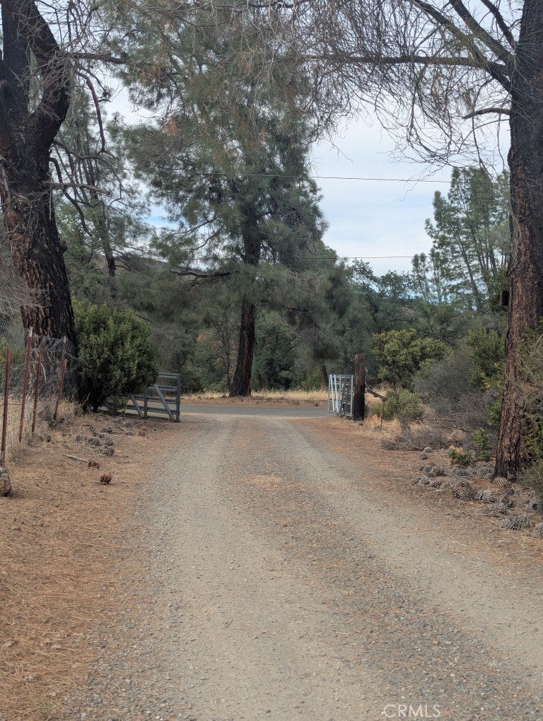 1962 Fouts Springs Road