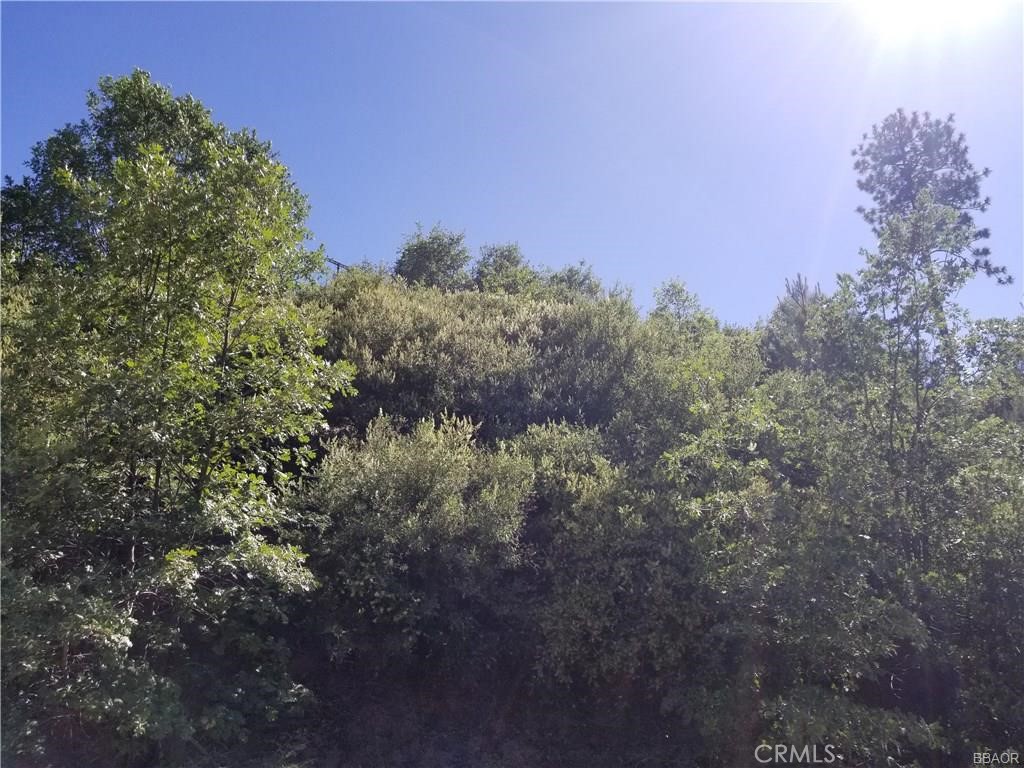 Cedar Glen (CEDG) - Land