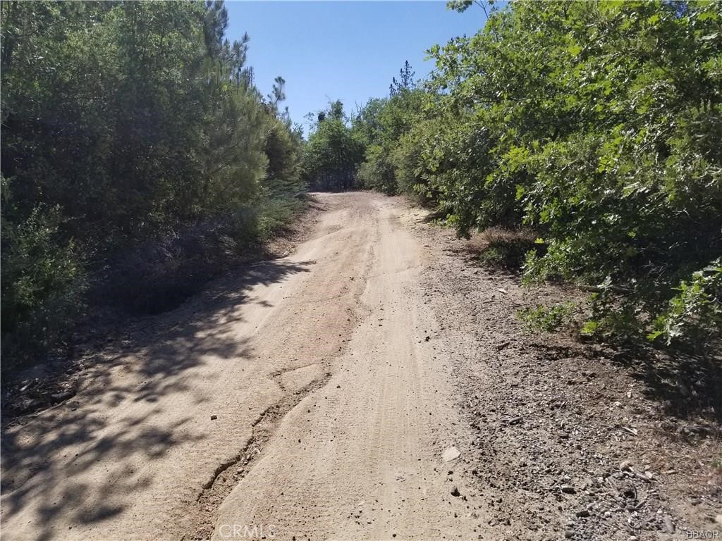 Cedar Glen (CEDG) - Land