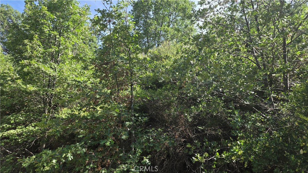 Cedar Glen (CEDG) - Land