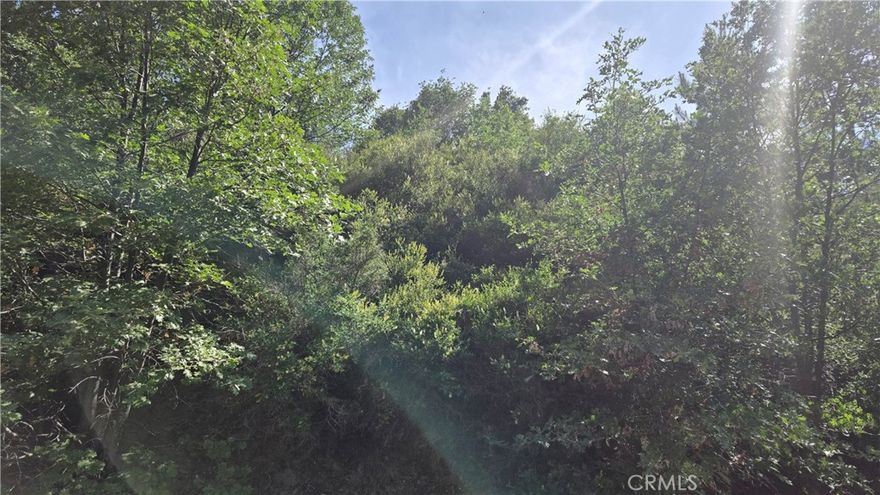 Own a beautiful part of the forest in the Cedar Glen area of the San Bernardino Mountains, very near Lake Arrowhead. Utilities are just up the road a few lots as there are a couple of homes there. Any buyer should verify the availability of utilities and the cost of hooking up with the relevant governing bodies. There is a significant bluff at the street, but then the lot does flatten out. Anyone building here would have tremendous views of the surrounding mountains and valleys upon completion. The owner will consider financing on a Note and Deed of Trust or on a Land Contract of Sale with very favorable terms. Call for details. The county has not yet assigned an address to this property. Use these coordinates to locate the property: Latitude: 34.260819 / Longitude: -117.157847. That will put you exactly on the northwest corner of the property at the road. The road is OK going down towards the property, but it becomes very rough just when you reach the lot. A 4-wheel drive vehicle is recommended; alternatively, you may want to park up the road a bit and then walk down.