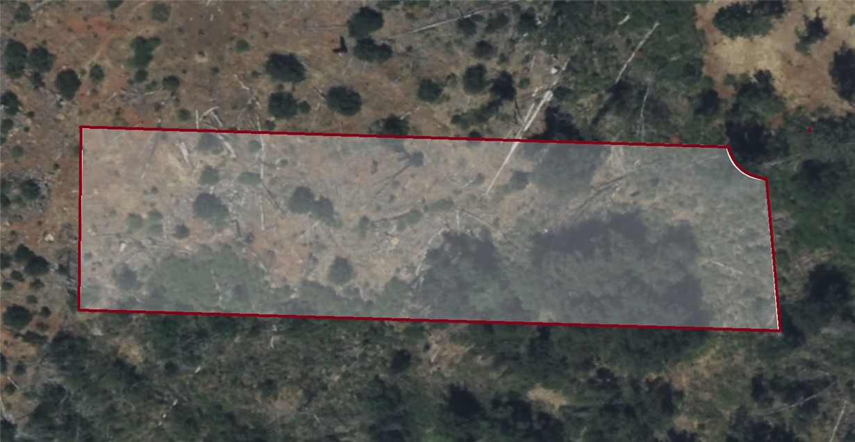 This 0.89-acre parcel in Magalia’s Country Club Estates offers a peaceful, wooded setting perfect for building or holding. Situated on a paved neighborhood street, it’s surrounded by similar-sized lots with established homes, making it ideal for your future vision.