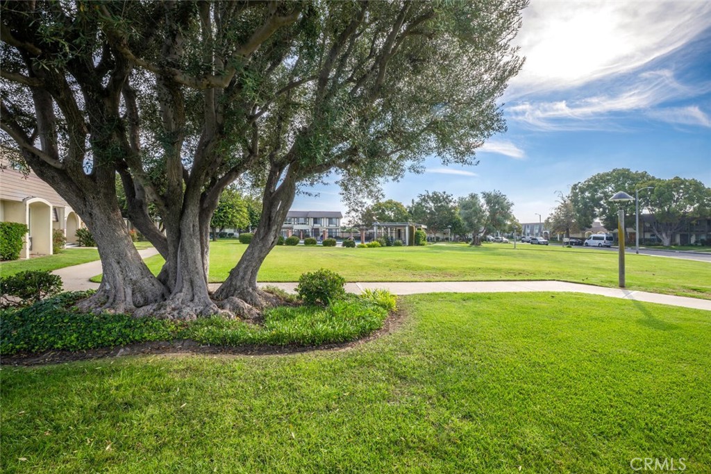 Tanglewood North - Residential