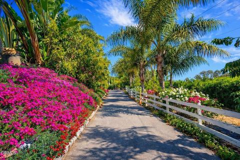 Photo of 7907 Balcom Canyon Road, Somis, CA 93066 (MLS # V1-35413)