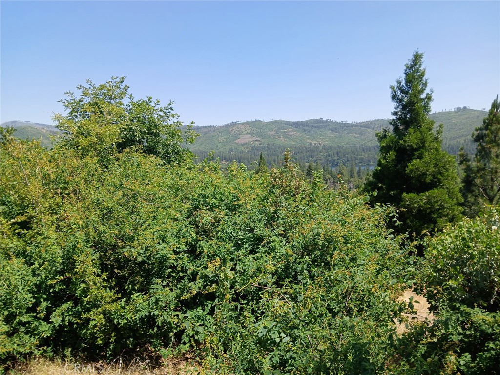 This parcel sits just below Hog Ranch Rd. The seller states there is a septic system on the property. No tests have been done since the fire. The seller would like to sell this property with 13392 Hog Ranch Rd.