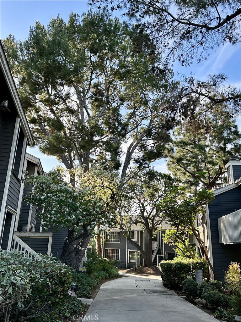 25603 Pine Creek Lane