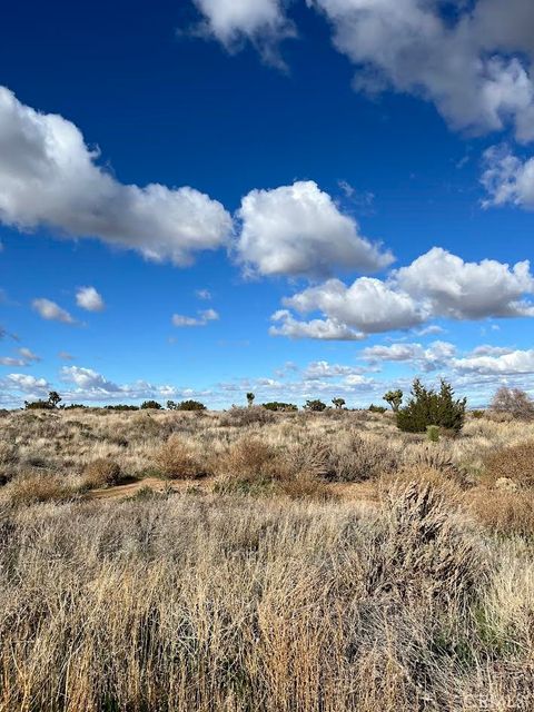 Photo of 3033 Arcadia Rd, Phelan, CA 92371 (MLS # TR26069711)