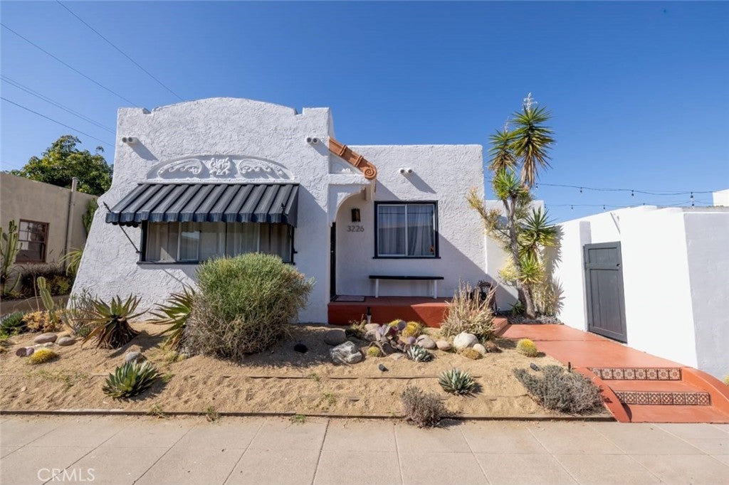 3226 Palm