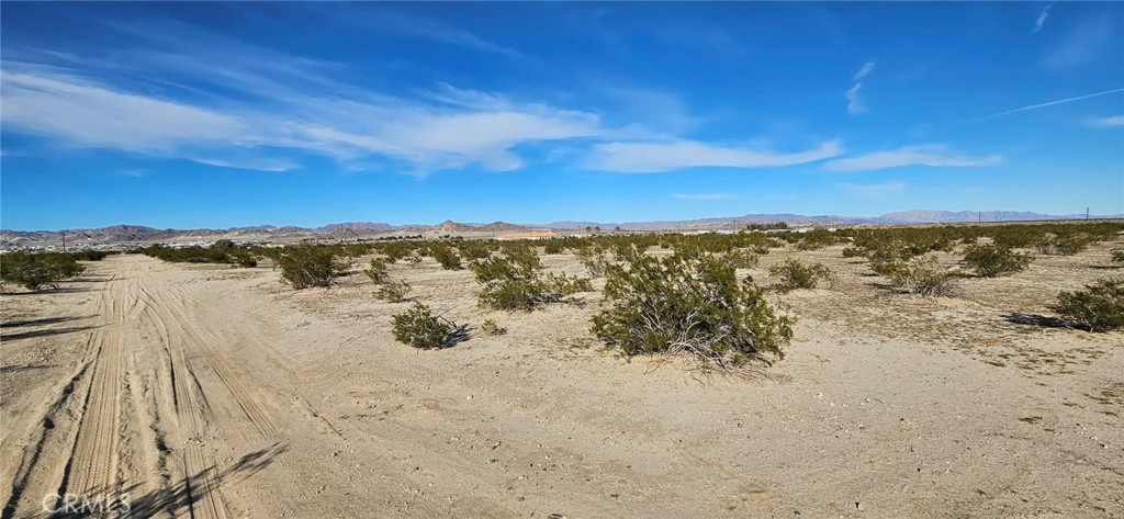 800 Desert Queen