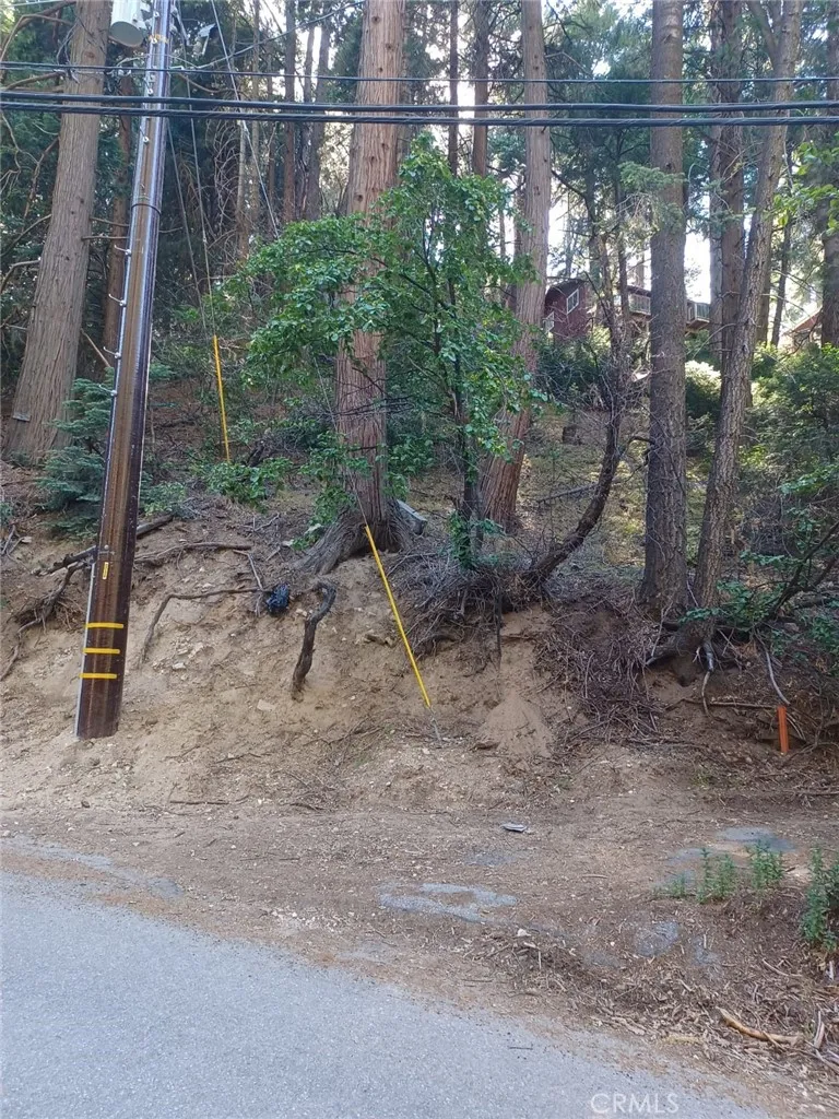 Lake Arrowhead, California 92352, United States, ,Land,Active,191013