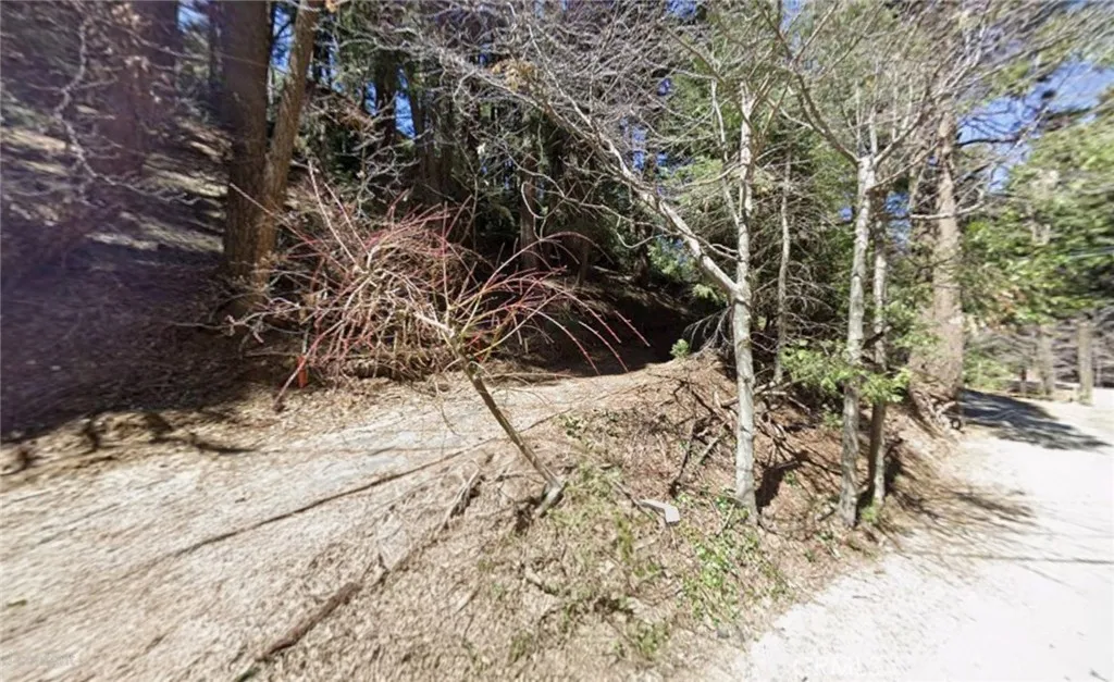 Lake Arrowhead, California 92352, United States, ,Land,Active,191013