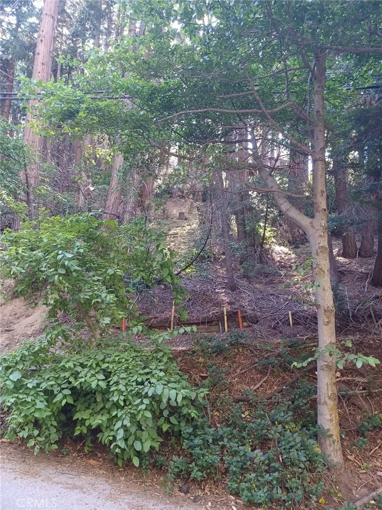 Lake Arrowhead, California 92352, United States, ,Land,Active,191013