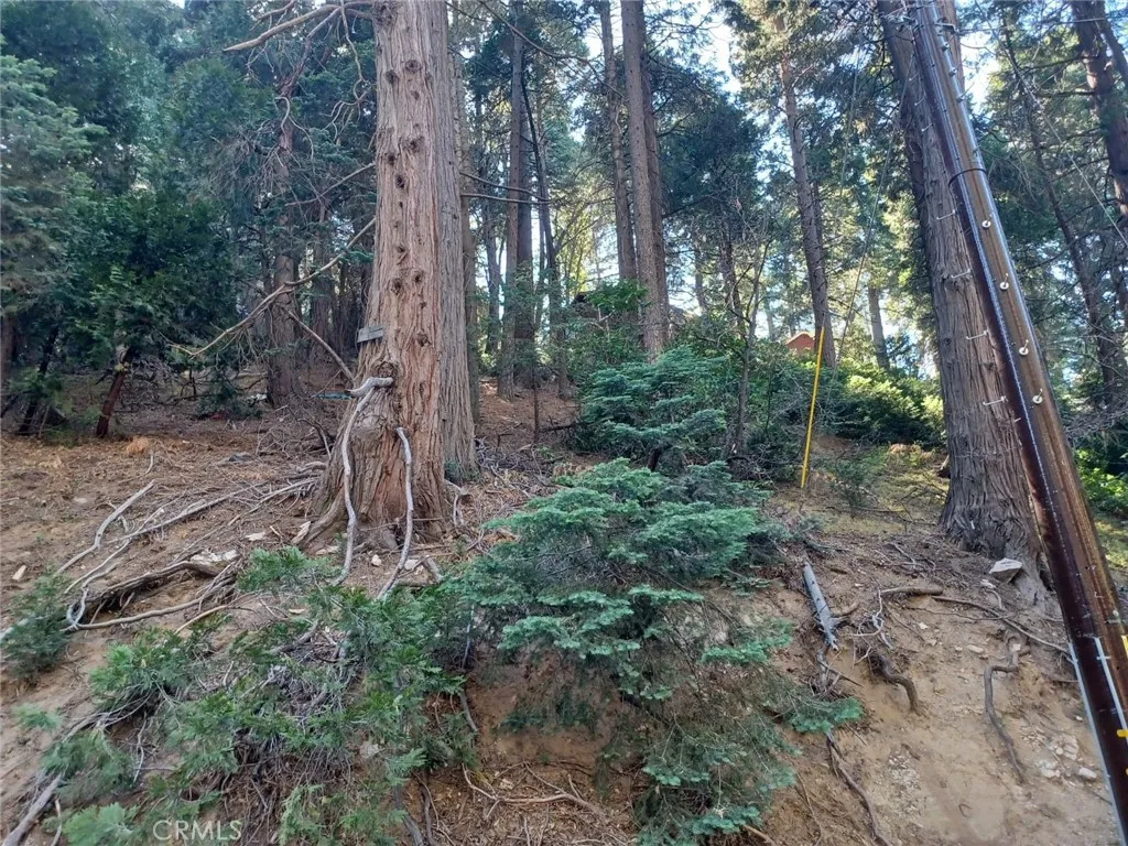 Lake Arrowhead, California 92352, United States, ,Land,Active,191013