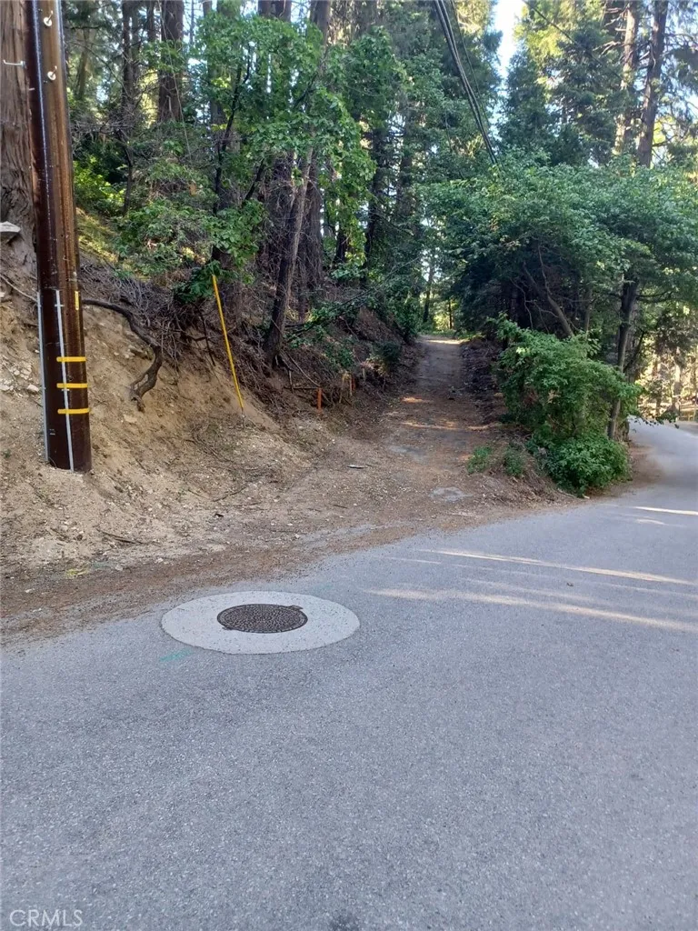 Lake Arrowhead, California 92352, United States, ,Land,Active,191013