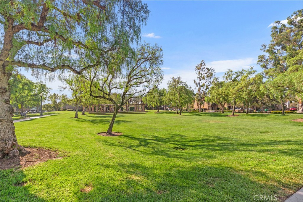 Other - Residential Lease
