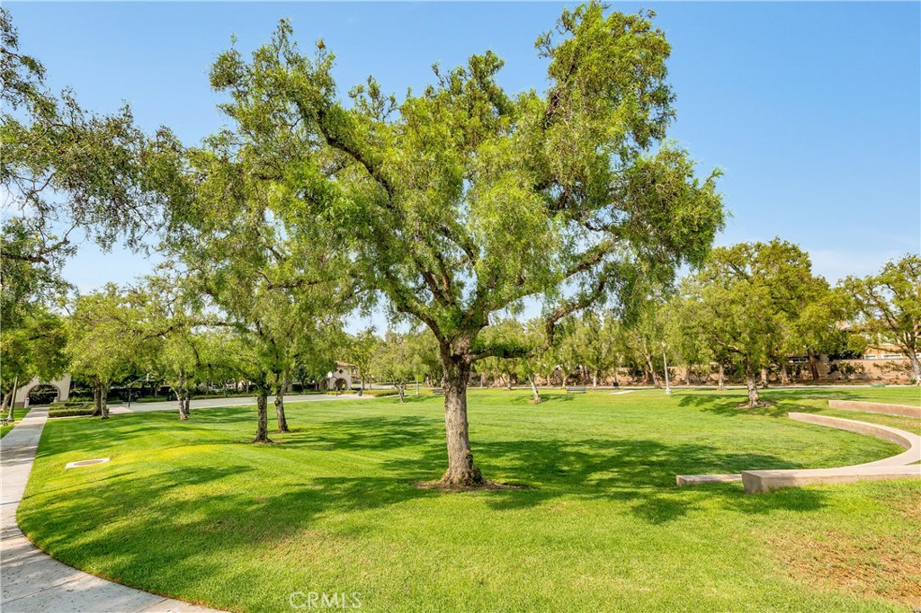 Other - Residential Lease