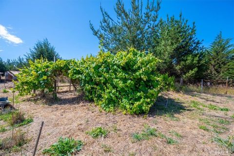 Tiny photo for 1144 Arboles Way Way, Arroyo Grande, CA 93420 (MLS # PI26091012)